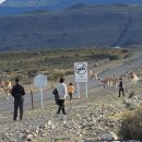 뿔들의 섬 이미지