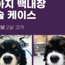 좋은 친구들 동물병원 이미지