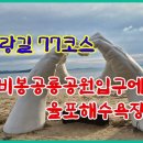 241109 남파랑길 77코스 보성비봉공룡공원 입구에서 율포해수욕장까지 이미지