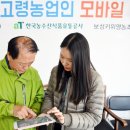 고령유통 이미지