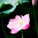 아이치과의원 이미지