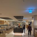 (주)호텔롯데 롯데리조트제주 | 제주 롯데호텔 뷔페 라세느 조식 내돈내산 이용 후기