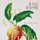 흐르는 강물을 바라 이미지