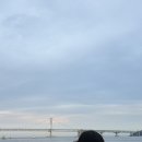 몽그르르 이미지