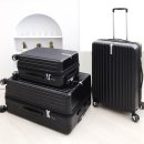 에버그린 이미지