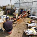 석우농장 이미지