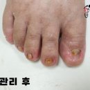 레푸스사상점