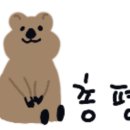 똑순이포차 네이버블로그