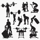 슬기로운 운동생활 이미지