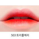 트리플이엑스 네이버블로그