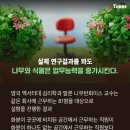 생활공간식물원 이미지
