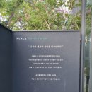 울산 옥동 신상 대형카페 소휴원 내돈내산 후기 울산대공원 카페 추천
