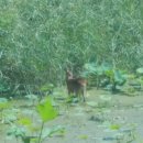 신기마을 앞 이미지