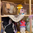 도그온리 이미지