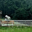 금호목장 이미지