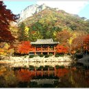 화랑포충전소 이미지