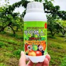에프맥스