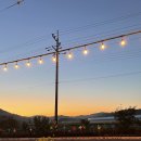 카페안경 이미지