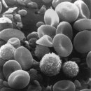 오거리사랑요양병원 이미지