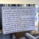 경기도 수원시 영통구 동수원로 | 수원미용실 추천 매탄동미용실 윤헤어에서 구름펌하고 온 후기 매탄동머리잘하는집 #윤헤어