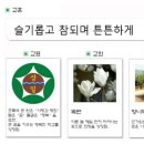 서울상일초등학교 이미지