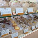 나리꼬모 춘천점 이미지