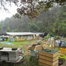 제일양봉산업 이미지