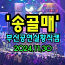 (310) 송골매 부산공연실황 직캠(2024.11.30) &#39;탈춤&#39; 7080 이미지