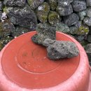 하귤민박 이미지