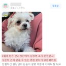 백두산동물병원 이미지