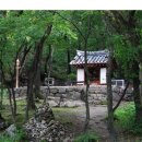 영선목장 Daum카페