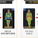 바이오포톤