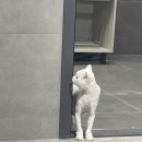 제이엠 동물병원 이미지