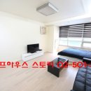 성우학교 | 역삼동 오피스텔 서울 숙소 추천 원룸 월세 성우스타우스