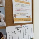 하오하개 이미지