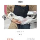몽띠끄 이미지