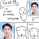 잠실준25시동물병원 | 유난히 길었던 지난 여름 : 2025-2 recap (1)