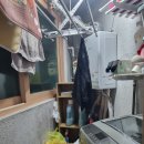일육이의이 이미지