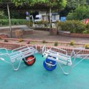 대구원예상사 이미지