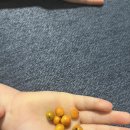 (주)휘슬러비씨 이미지