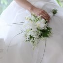 레플레르 | W5. 가성비 최고...🫶🏻 웨딩촬영부케 [레플레르] 내돈내산 후기!