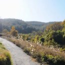 남해-306 이미지