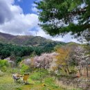 은석캠핑장 이미지