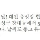 유성장 이미지