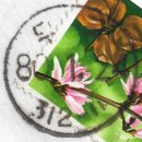 금왕우체국 이미지