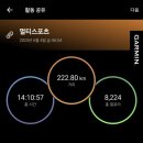 철인복싱클럽 | 2023년 챌린지 군산-새만금 철인3종 킹코스(풀코스) 후기