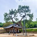 유네스코화장실 | 돈암서원 논산 배롱나무 명소, 백일홍 보러 갔다가 반해버린 유네스코 세계유산