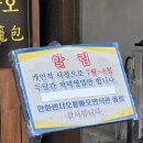 충청세탁소 | 탄신일, 한화이글스, 그리고 대전