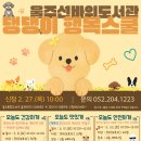 모두의 댕댕이 연합뉴스