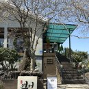 제주도흑돼지꿈마차 | [제주도/애월 맛집 추천] 애월연어 본점 2인 더블세트, 흑돼지덮밥 이용후기